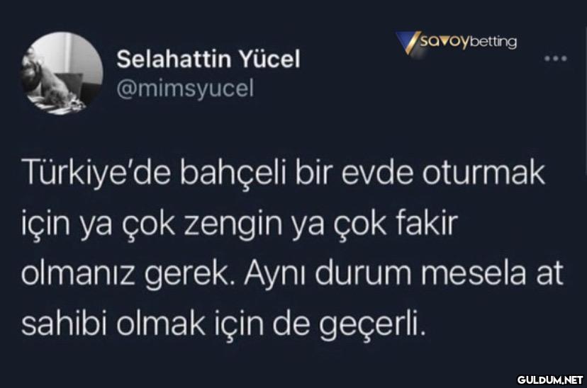 Selahattin Yücel...