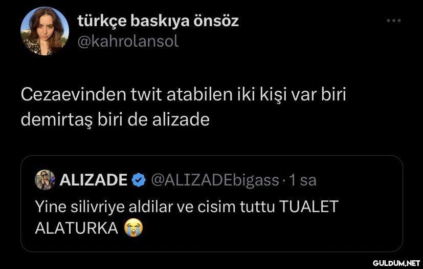 türkçe baskıya önsöz...