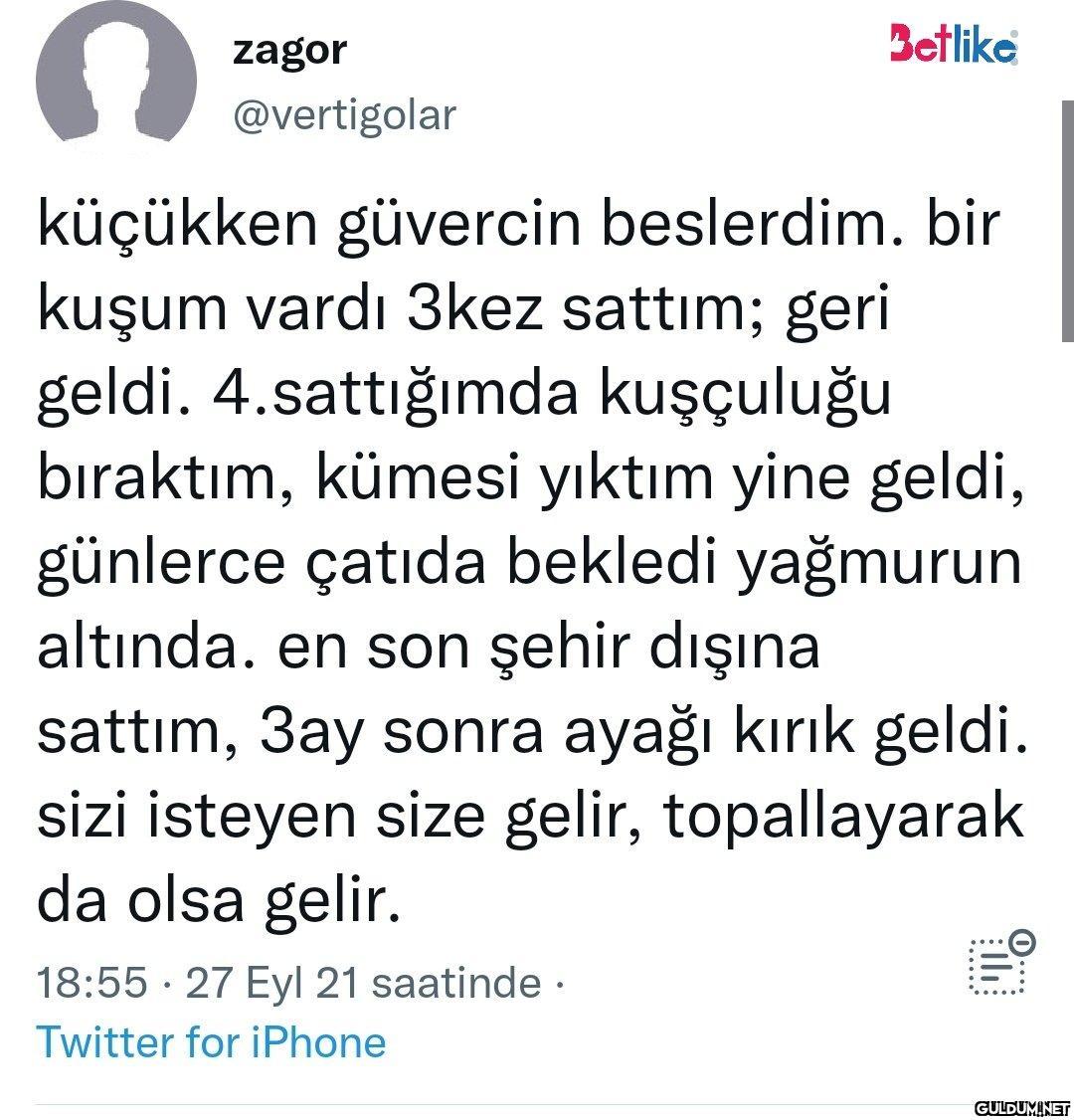 n küçükken güvercin...