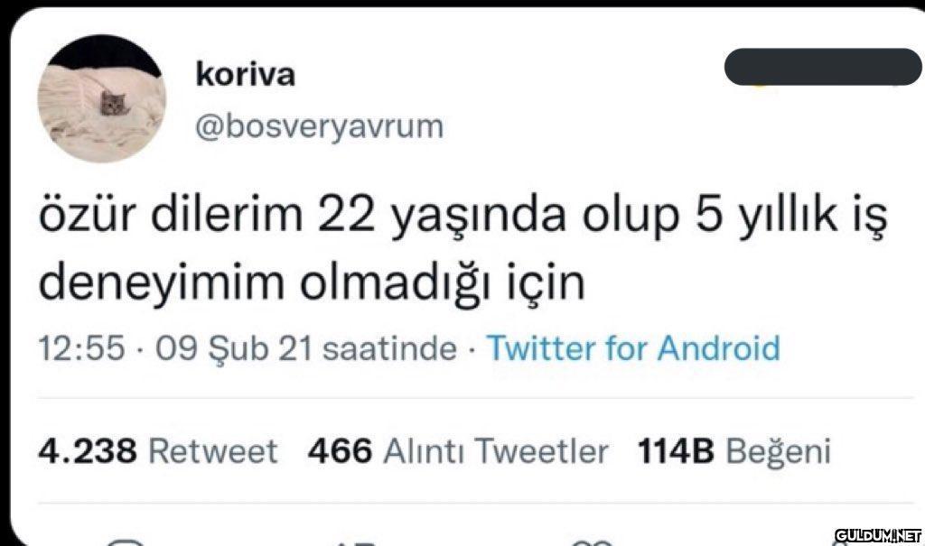 koriva @bosveryavrum özür...