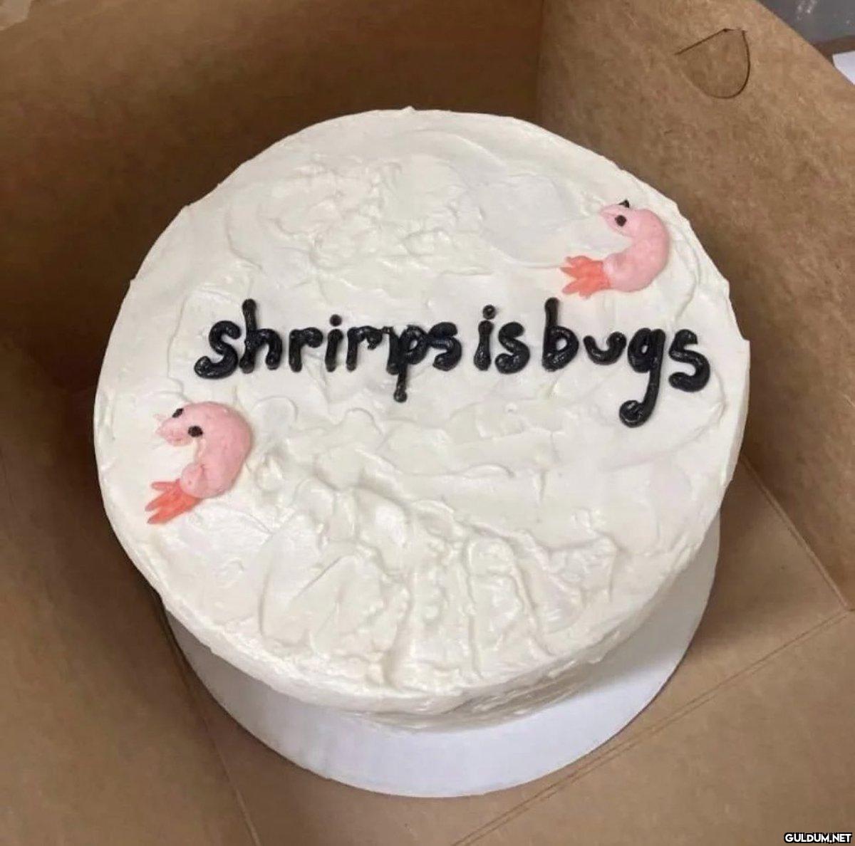 shrimps is bugs   Kaynak