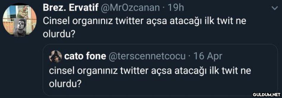 Brez. Ervatif @MrOzcanan...