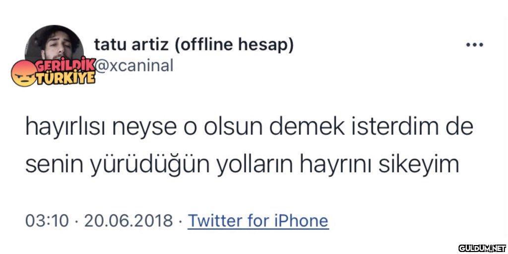 tatu artiz (offline hesap)...
