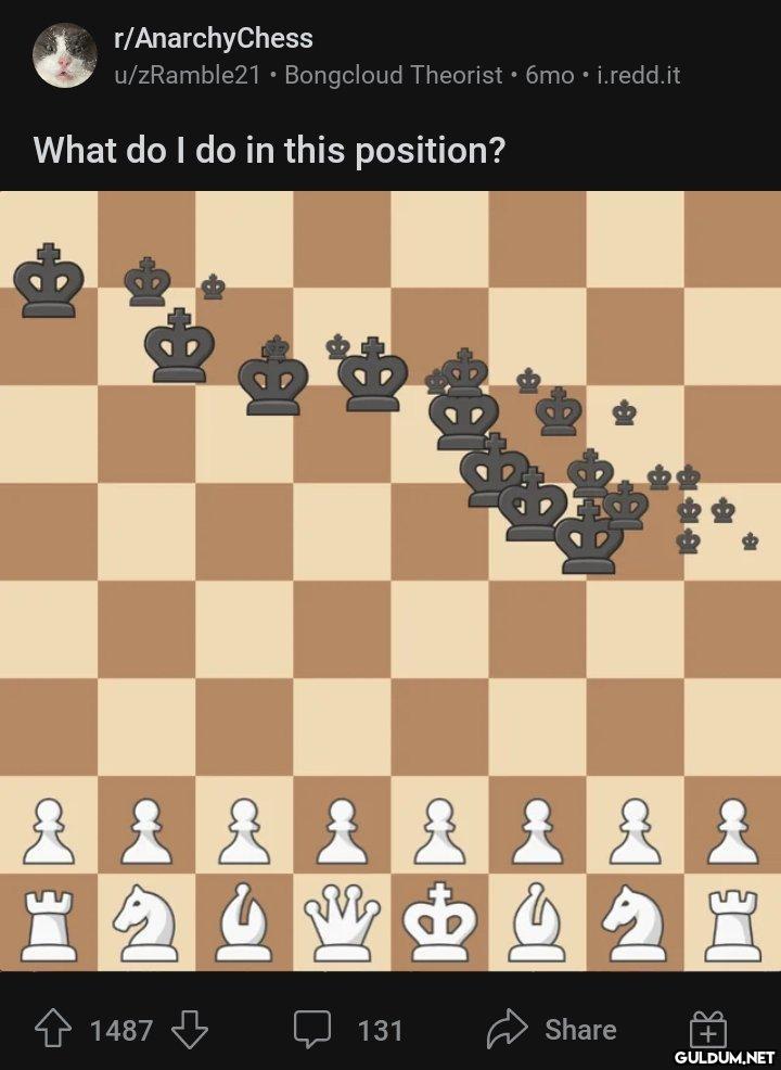 r/AnarchyChess u/zRamble21...