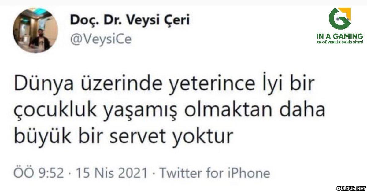 Doç. Dr. Veysi Çeri...