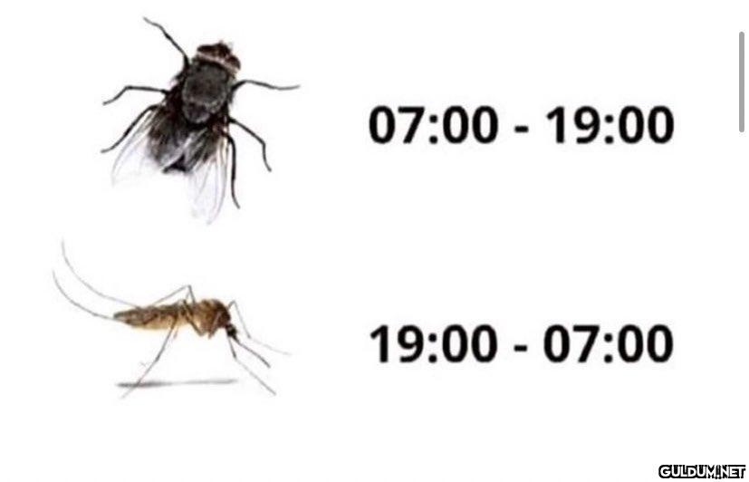 h 07:00 - 19:00 19:00 -...