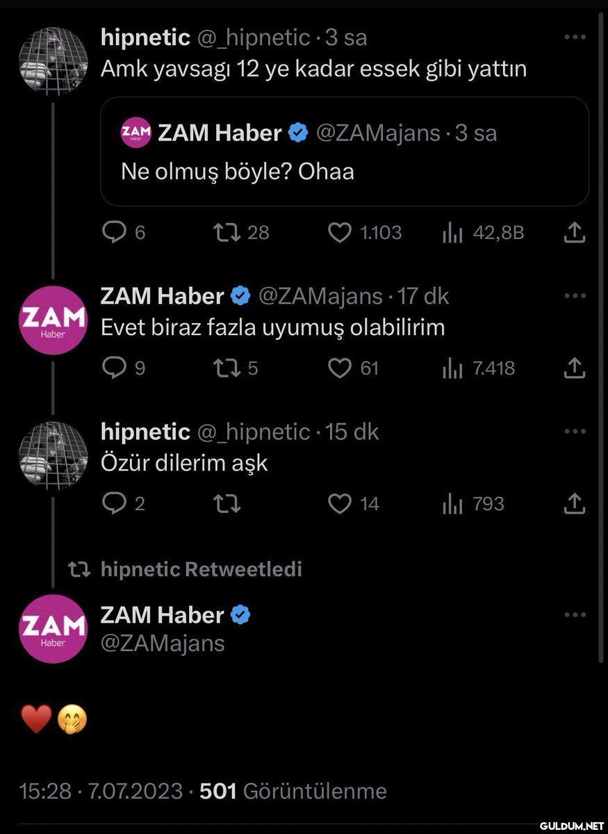 ZAM Haber hipnetic...