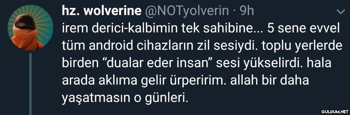 hz. wolverine...