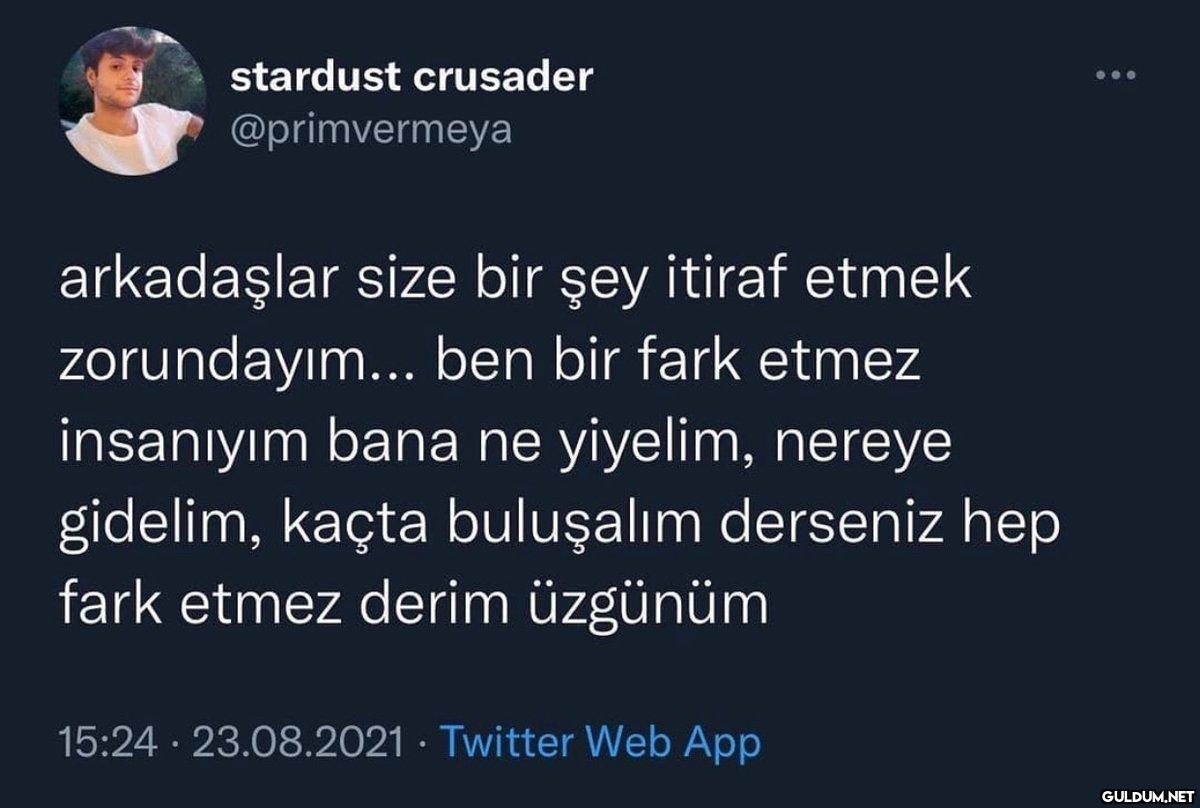 stardust crusader...