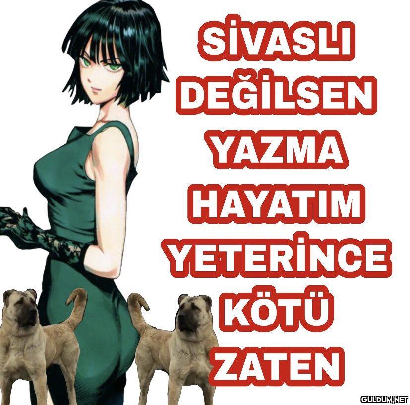 SİVASLI DEĞİLSEN YAZMA...