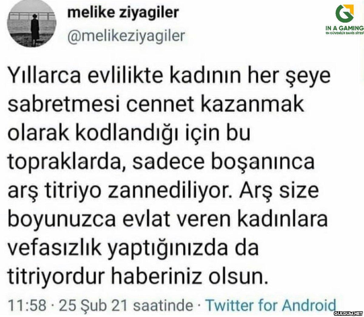 melike ziyagiler...