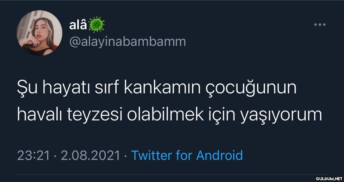 alâ @alayinabambamm Şu...