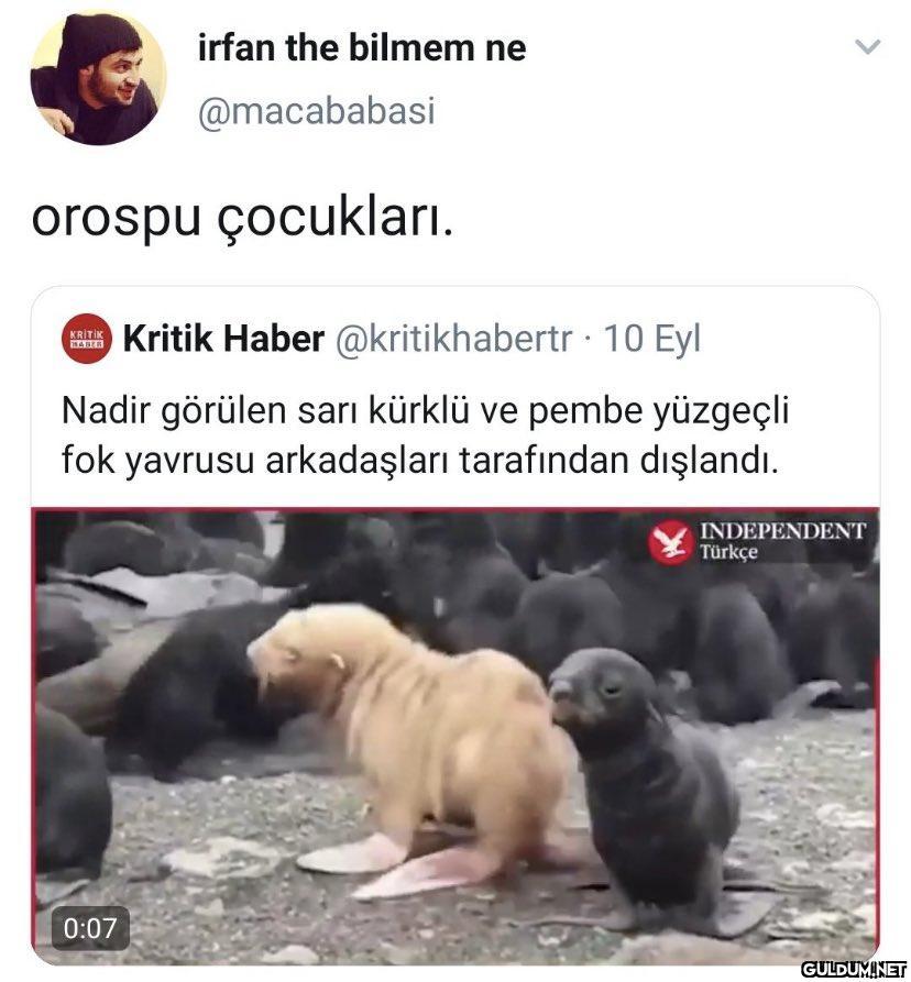 orospu çocukları. irfan...