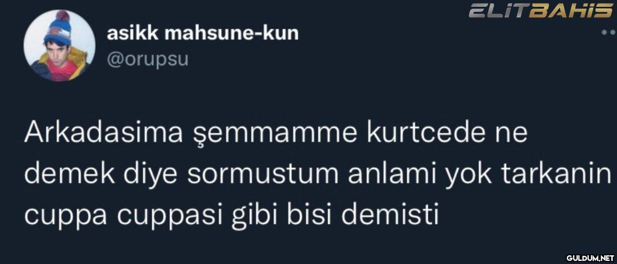 Arkadaşın bayağı yalancı...