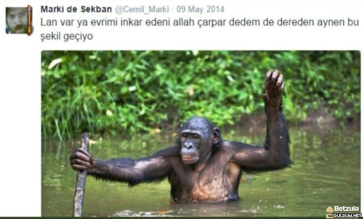 Marki de Sekban...