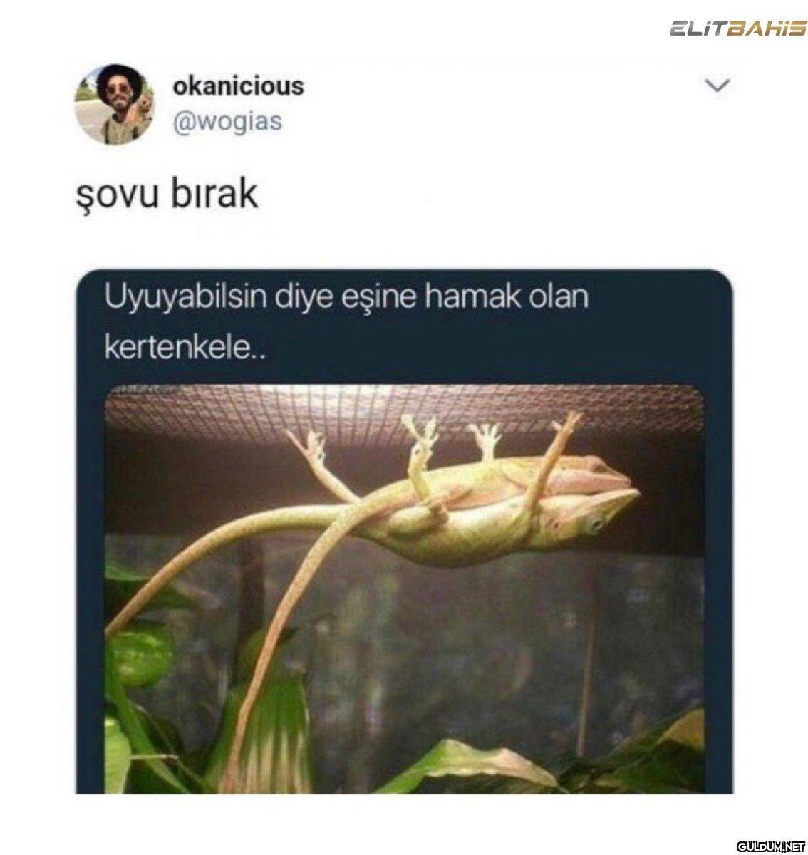 https://t.co/mWi0isJ9dK  ...