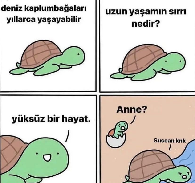 deniz kaplumbağaları...