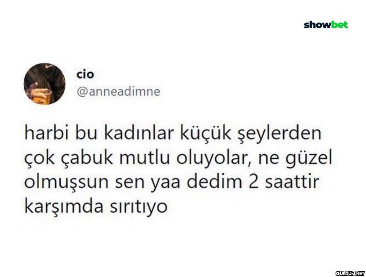 cio @anneadimne showbet...