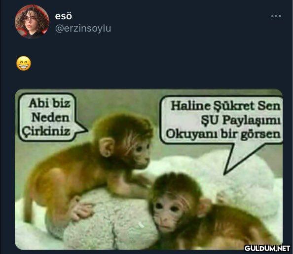 esö @erzinsoylu Abi biz...