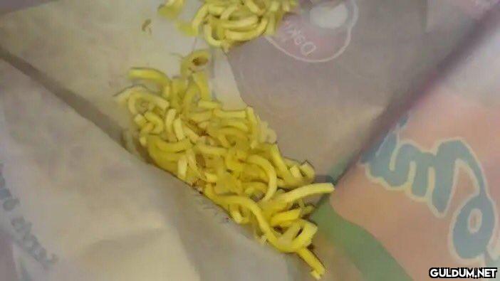 Birçok öğrencinin...