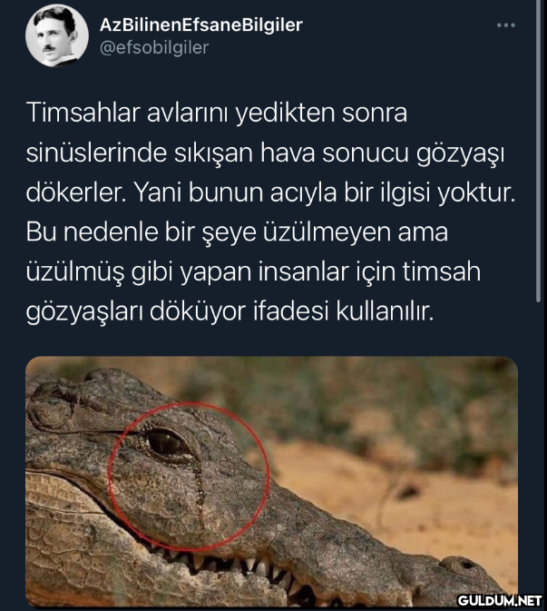 AzBilinenEfsaneBilgiler...