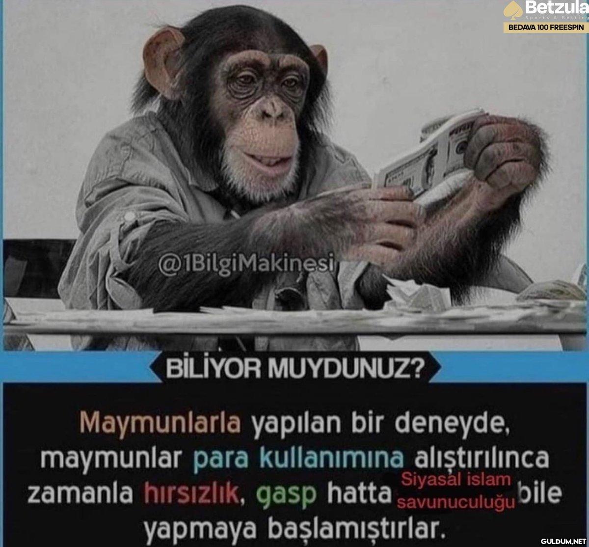 @1BilgiMakinesi Betzula...
