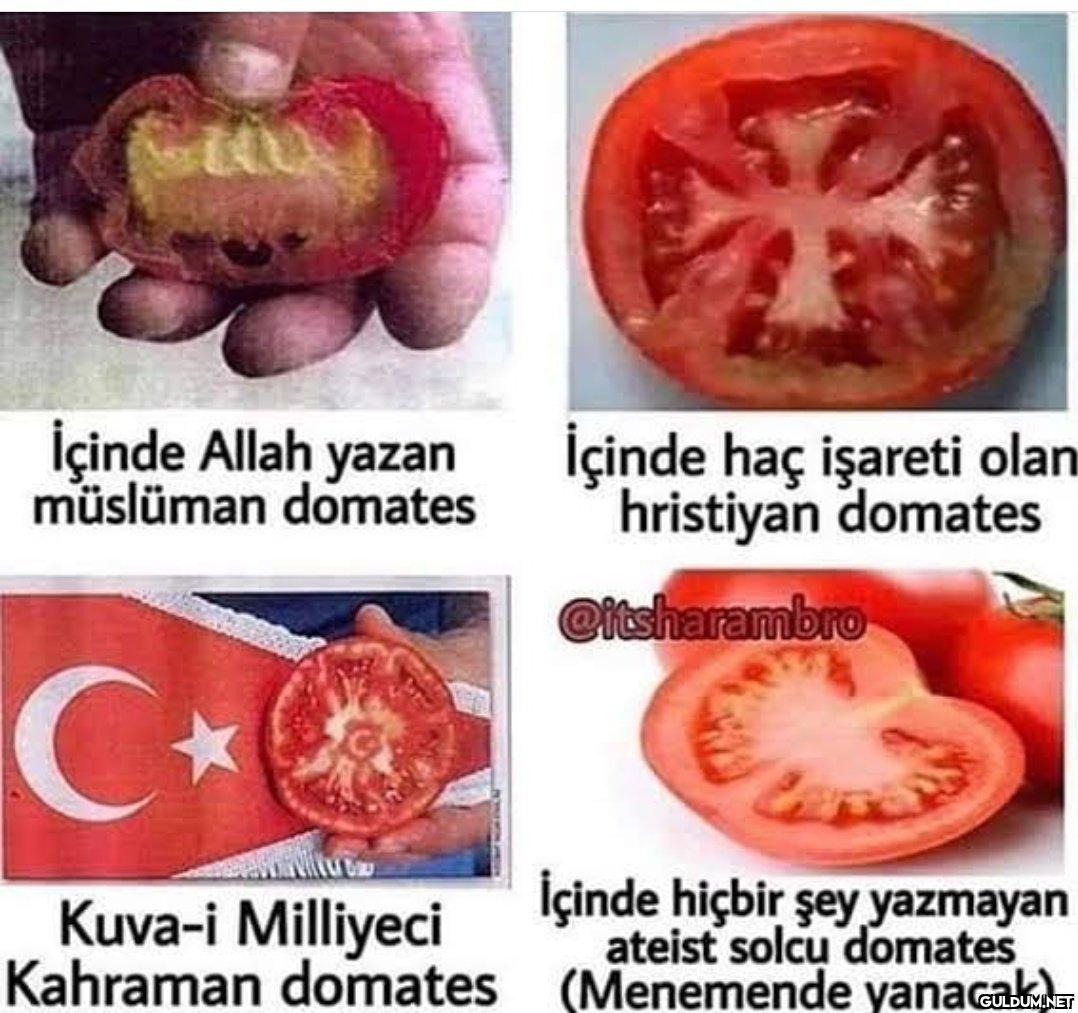 CHU İçinde Allah yazan...