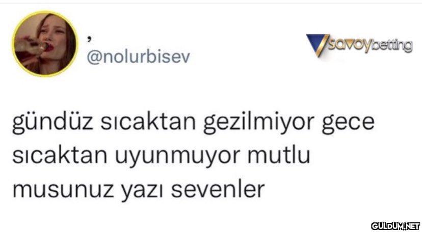 @nolurbisev savoybetting...