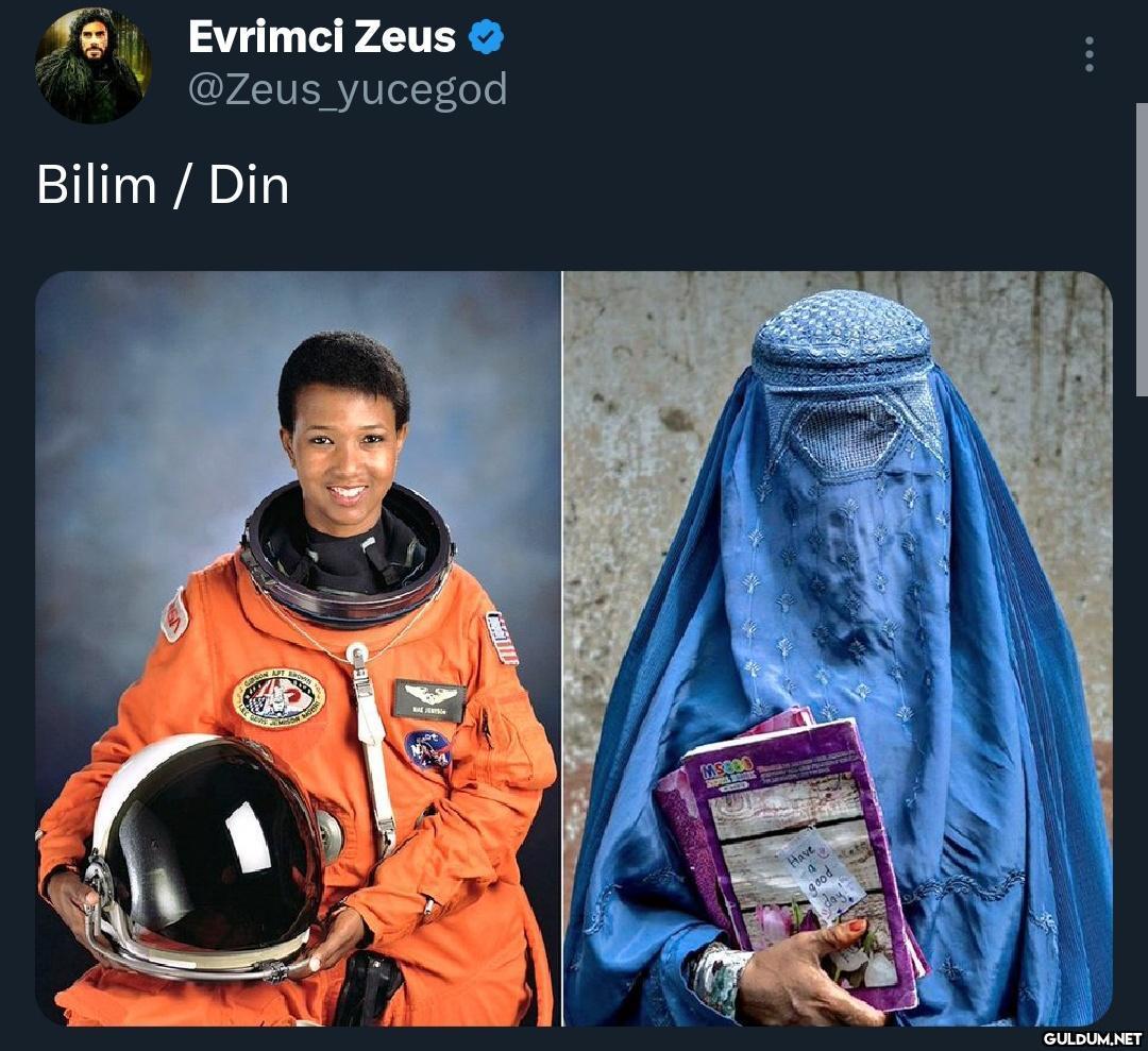 Evrimci Zeus @Zeus_yucegod...