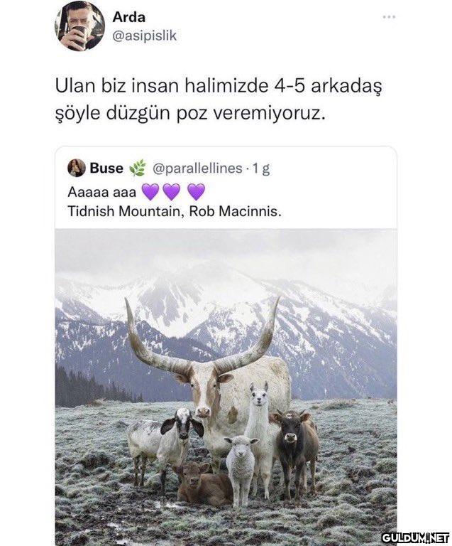 https://t.co/SDMdq1stQN  ...