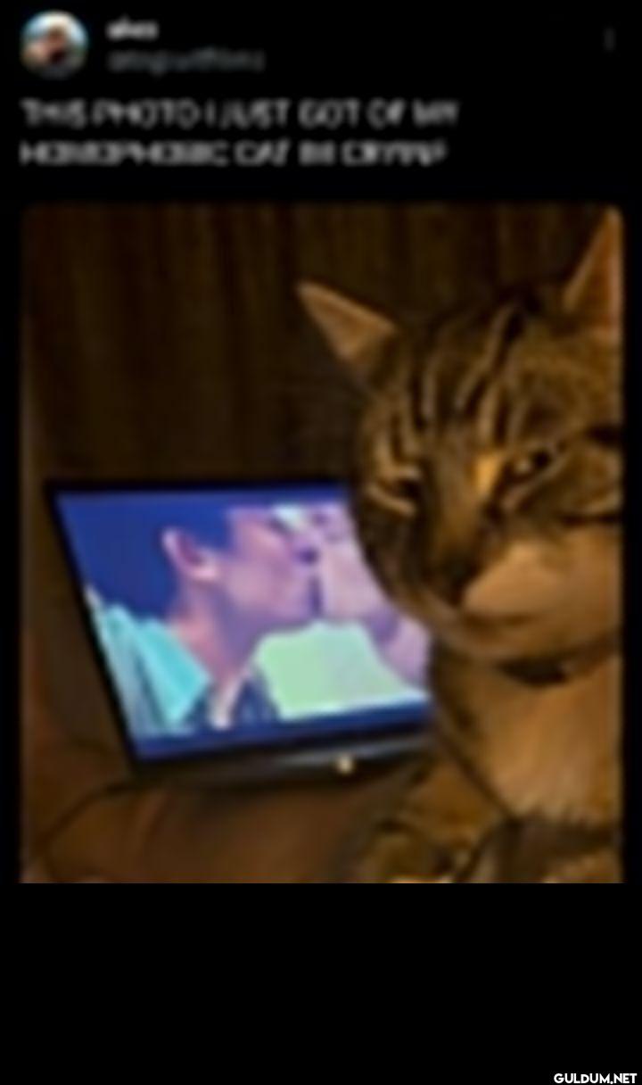 THIS PHOTO I JUST GOT OF...