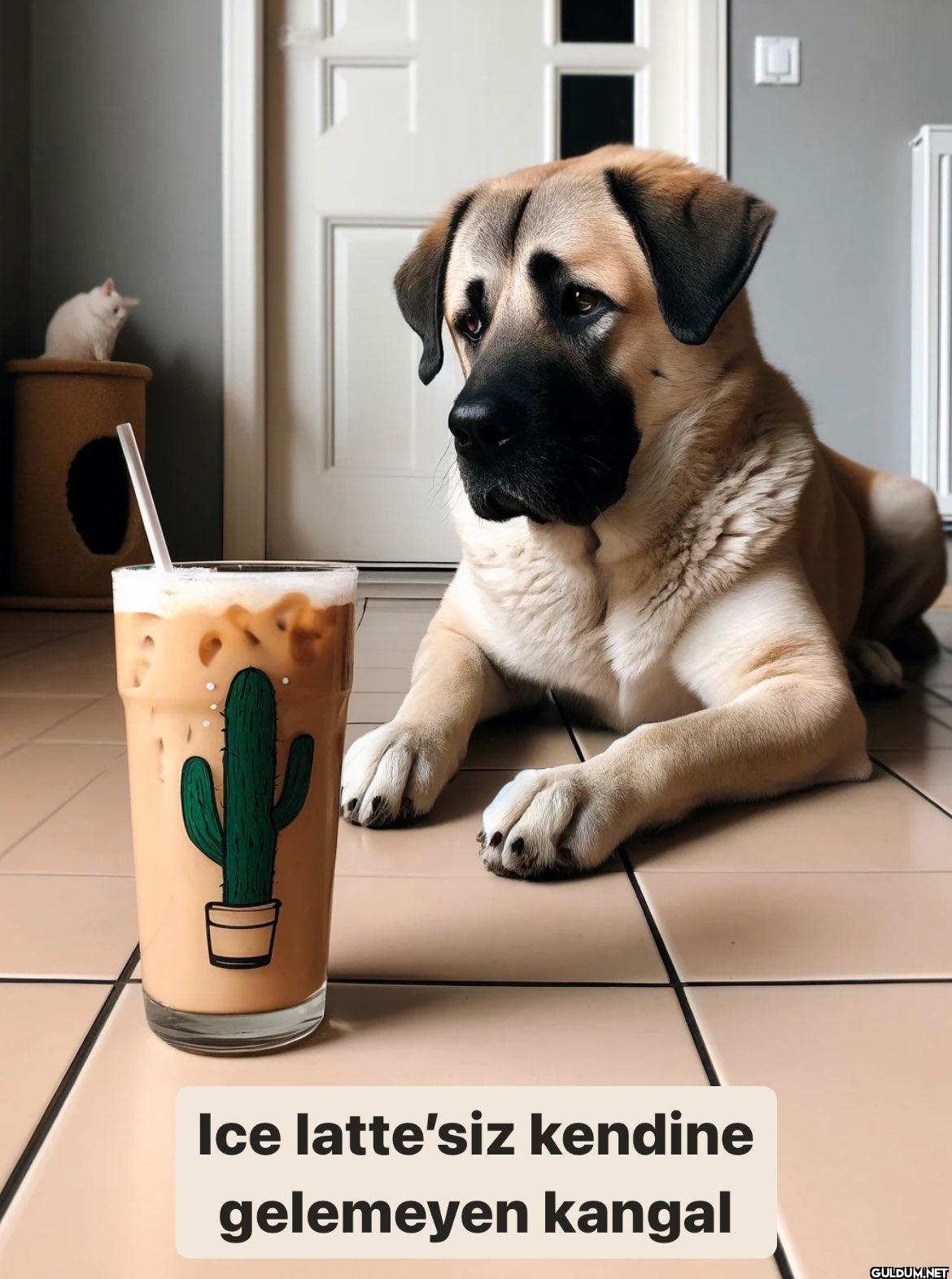 L Ice latte'siz kendine...