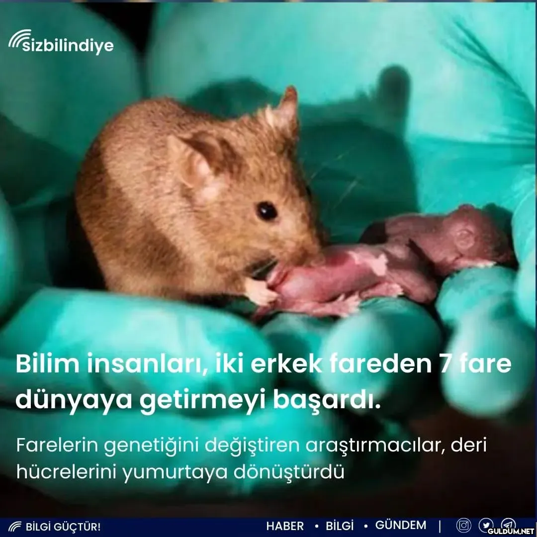 Japon bilim insanları, iki...