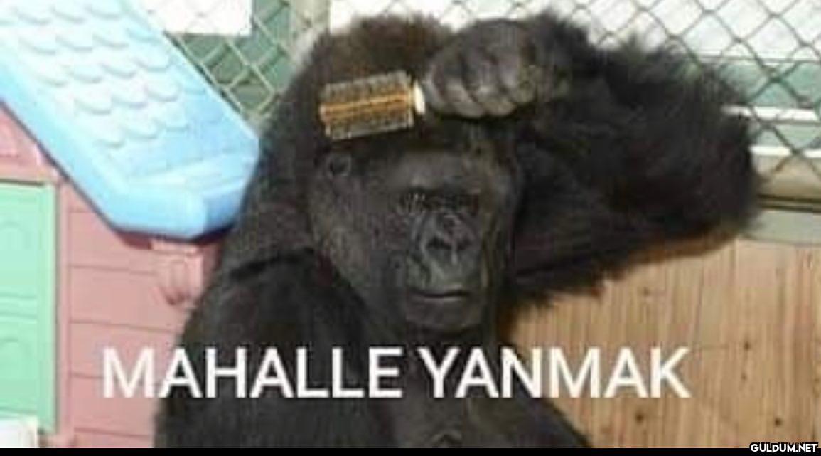 MAHALLE YANMAK   Kaynak