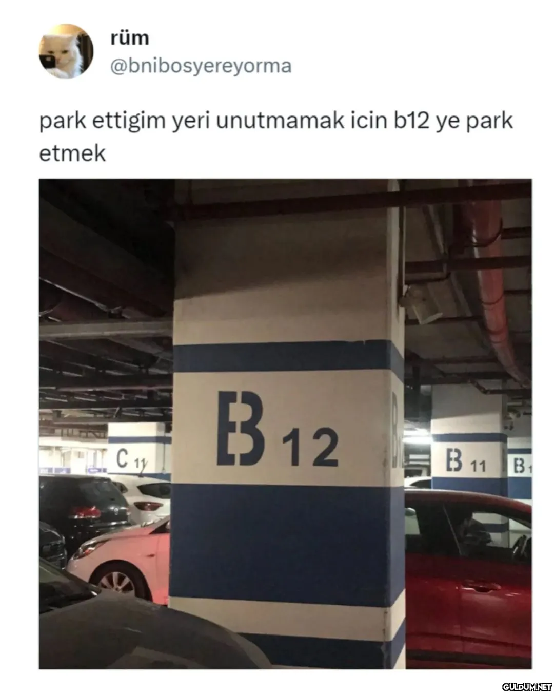 rüm @bnibosyereyorma park...
