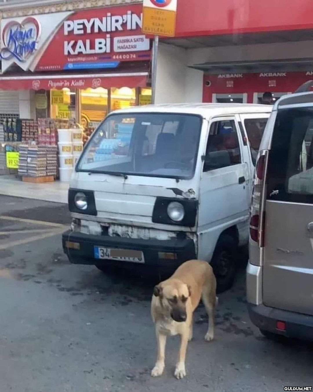 şu haline bak ya...