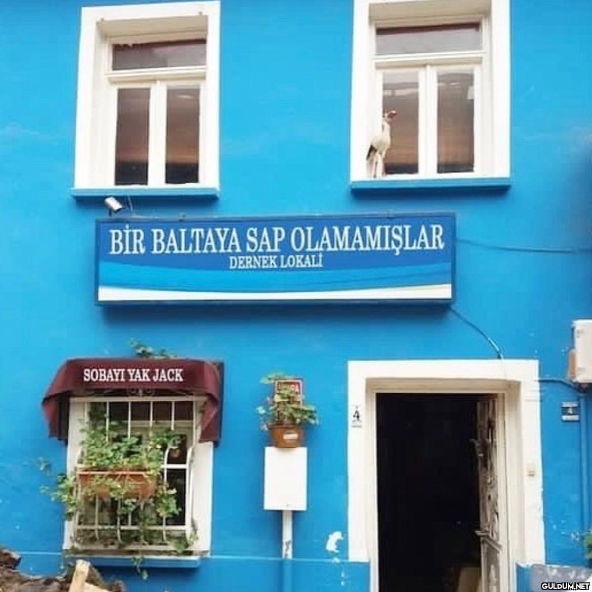 @sobayi.yak.jack   BEN...