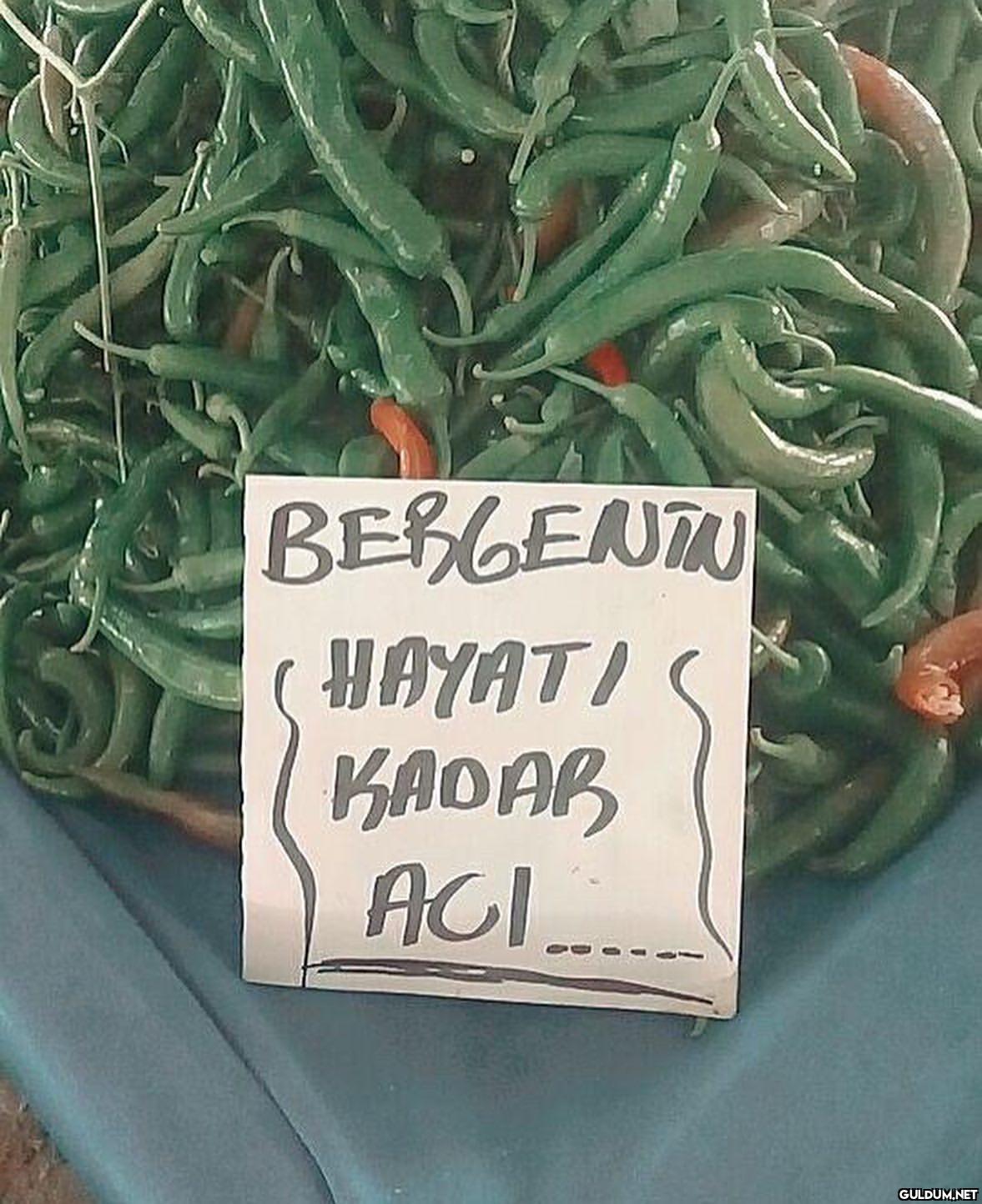 anlamsız fotoğraflar 40099...