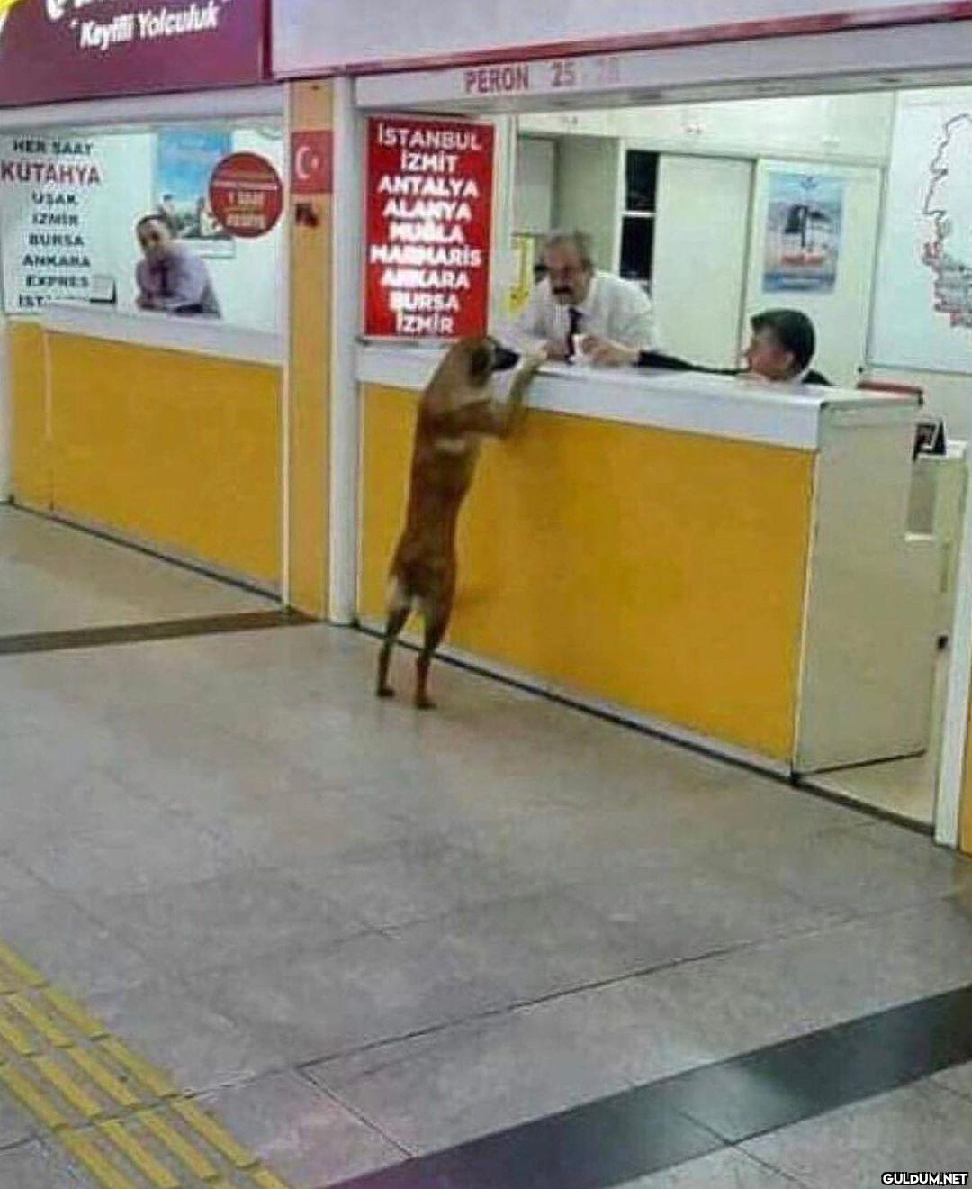 anlamsız fotoğraflar 4500 ...