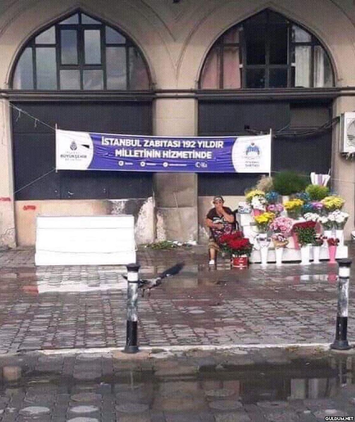 anlamsız fotoğraflar 4081 ...