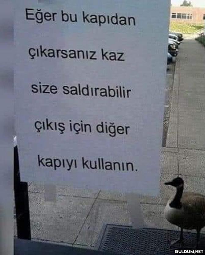anlamsız fotoğraflar 49941...