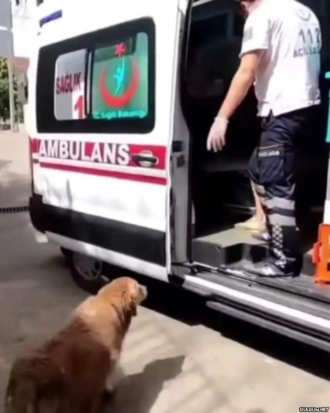 Uygar @sinirliyizabi...