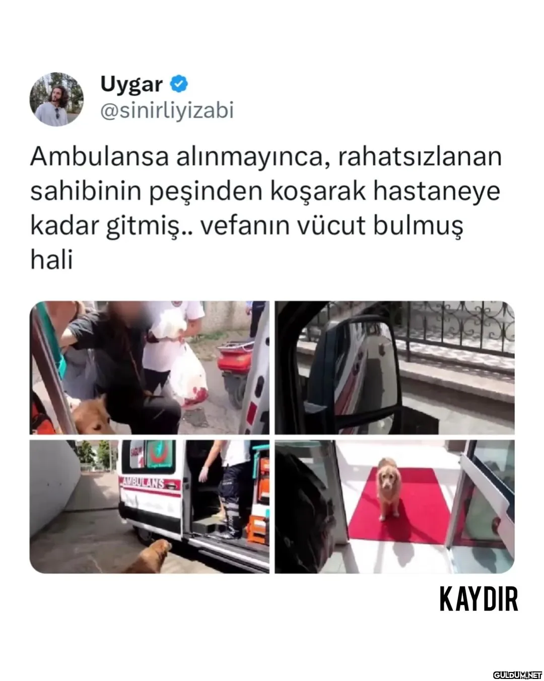 Uygar @sinirliyizabi...
