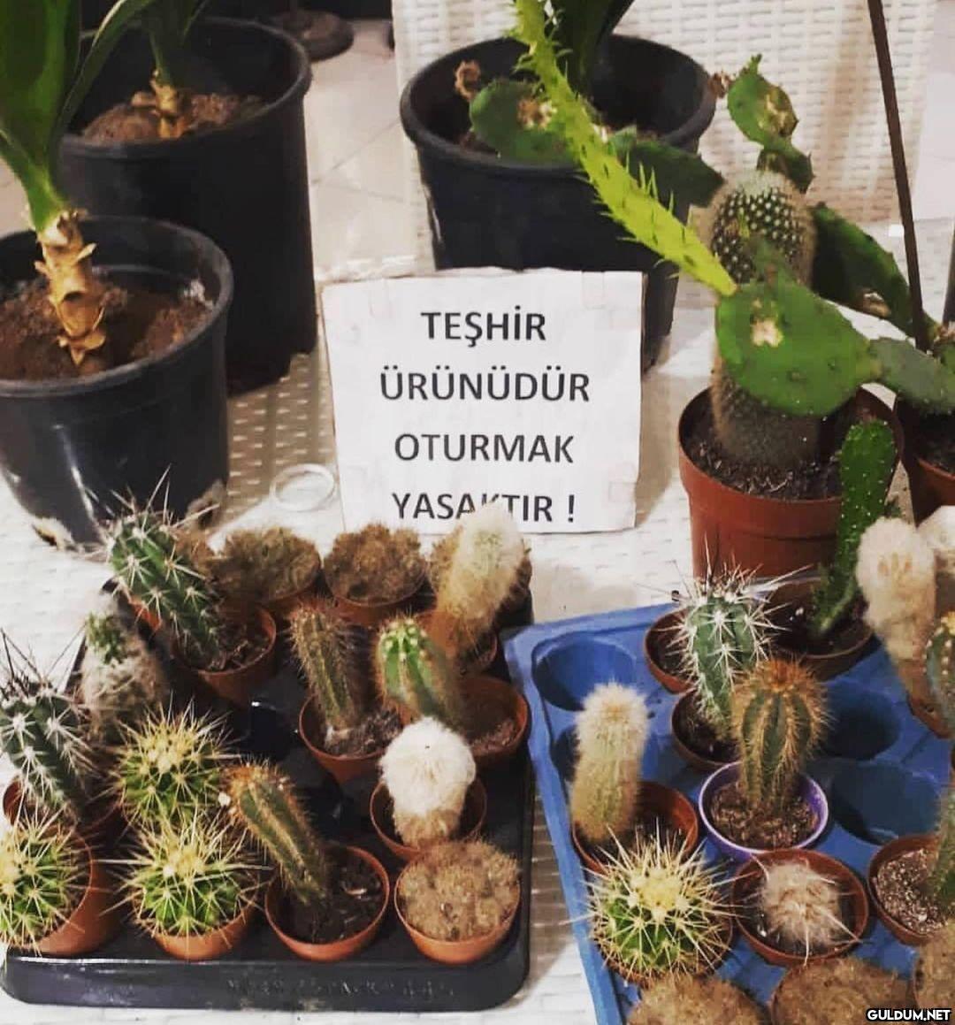İçkiliydi bilmem ne...