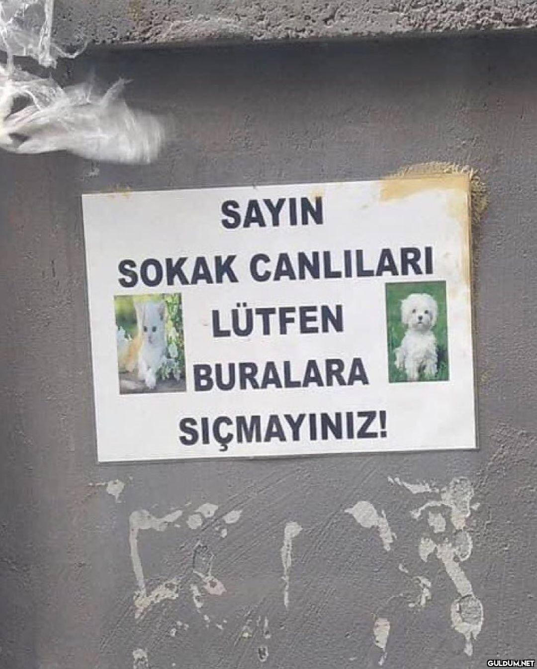 anlamsız fotoğraflar 4048 ...
