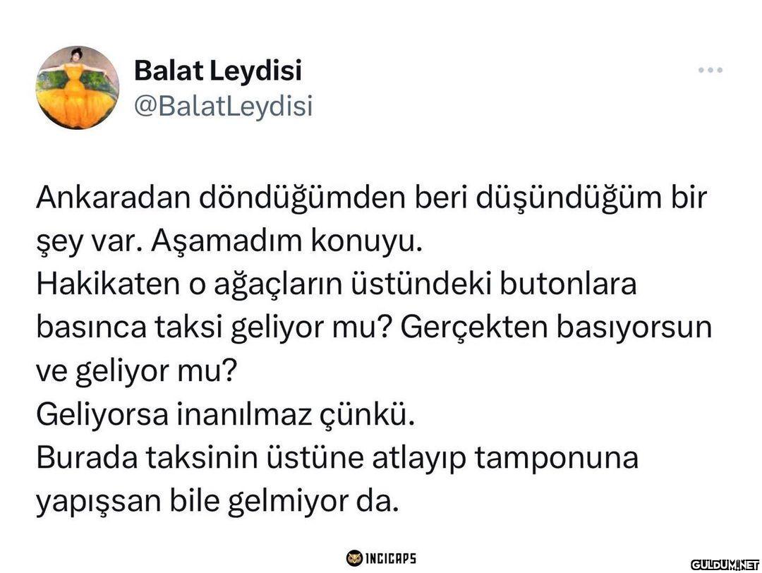 Balat Leydisi...