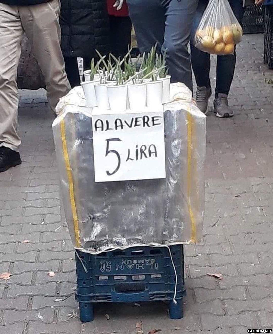 içkiliydi bilmem ne...