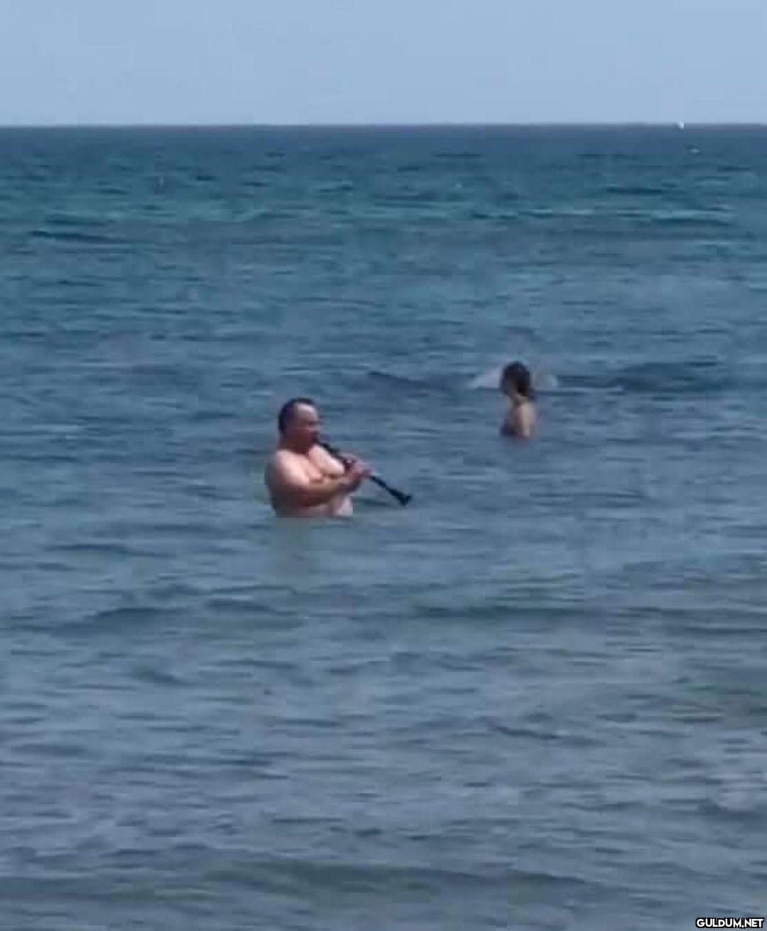 anlamsız fotoğraflar 4989 ...