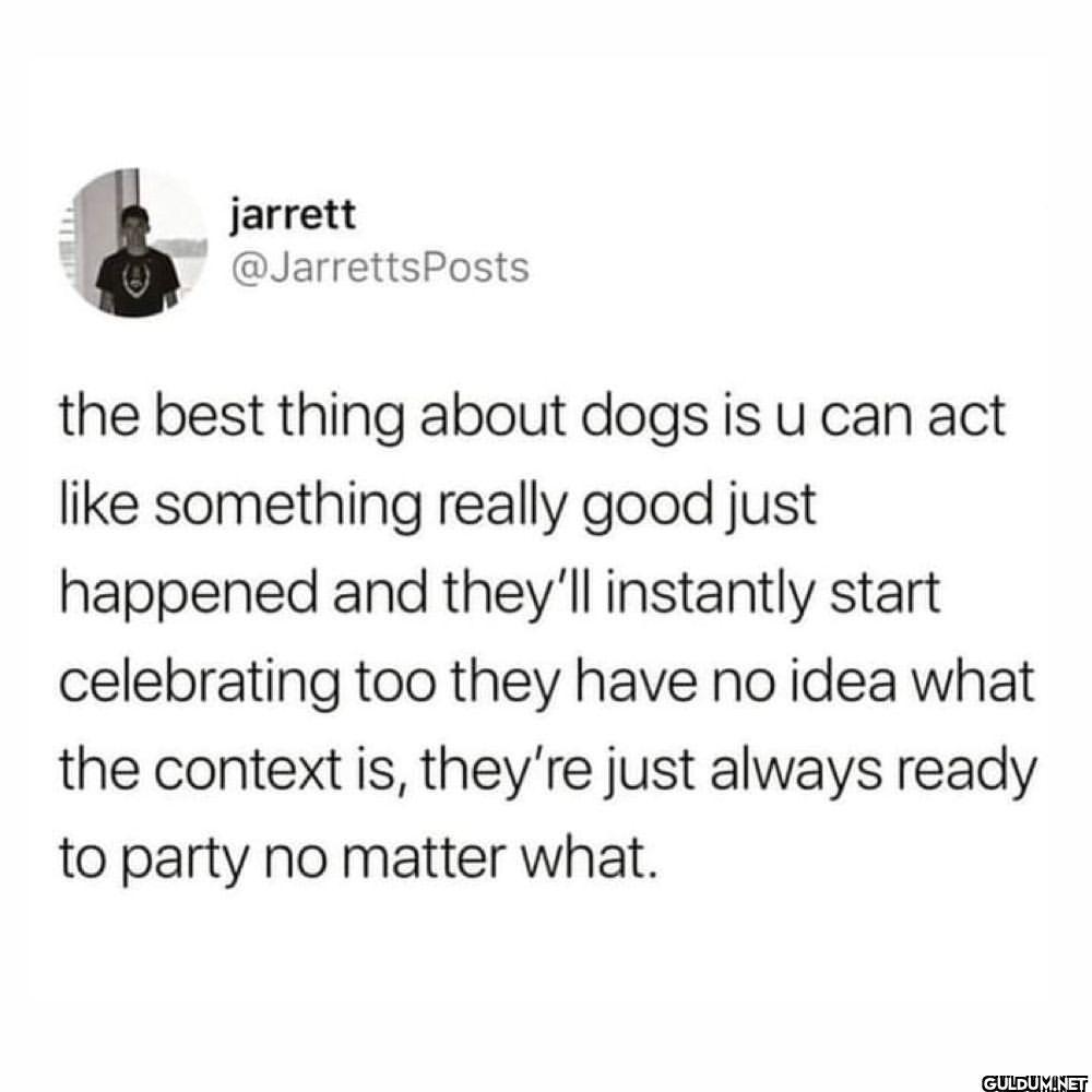 We don't deserve dogs by...