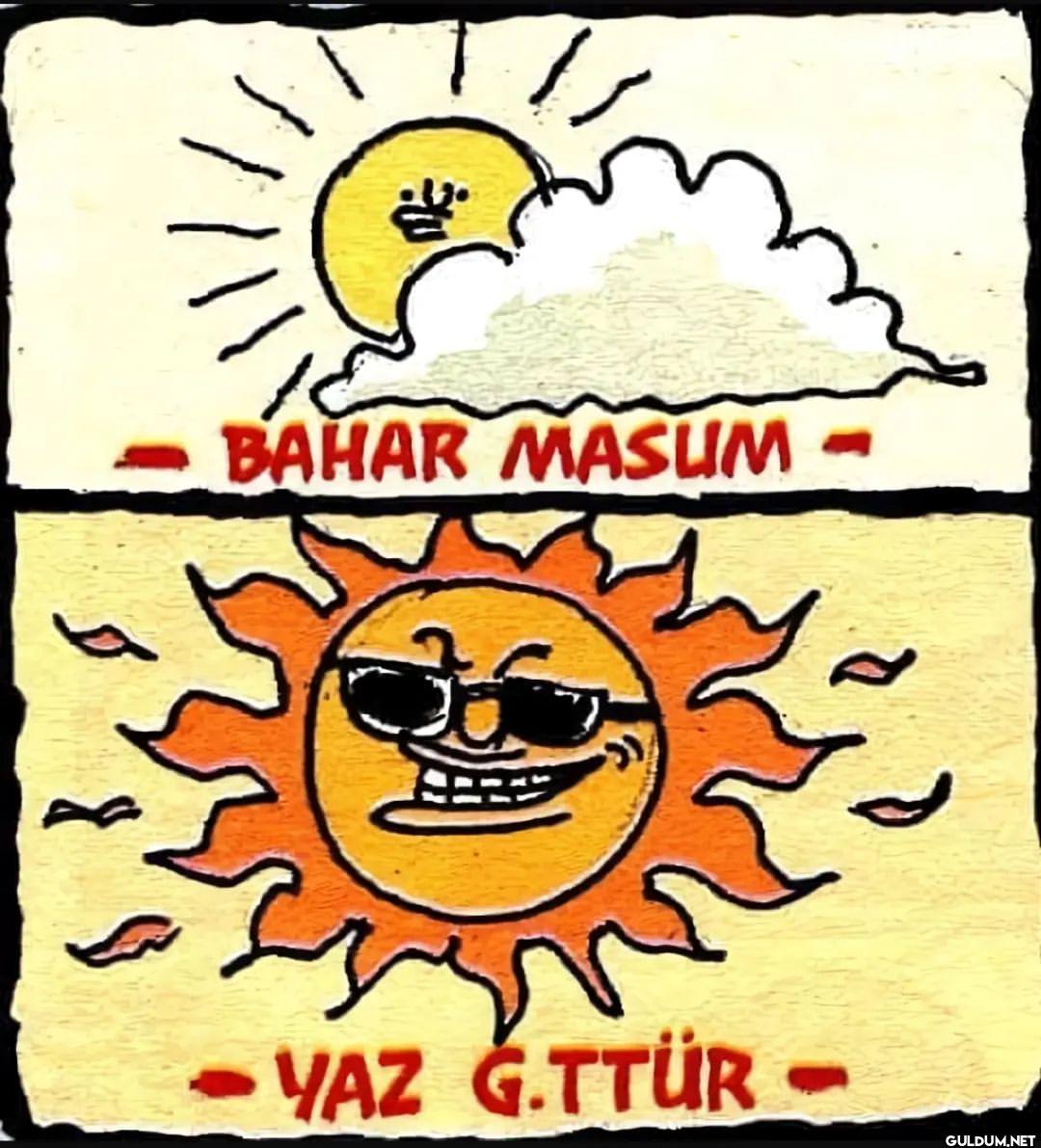 Senin tipini ......